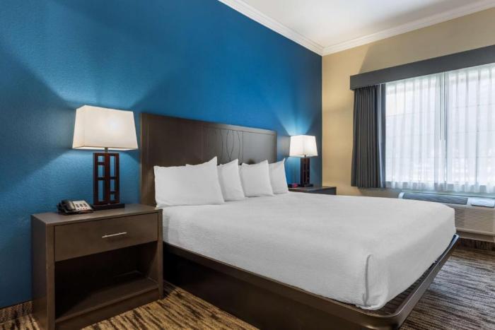 Best Western Dinosaur Valley Inn & Suites Glen Rose Kamer foto